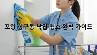 포항 항구동 낙엽 청소 완벽 가이드
