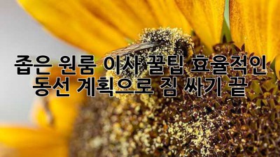 좁은 원룸 이사 꿀팁🍯: 효율적인 동선 계획으로 짐 싸기 끝!